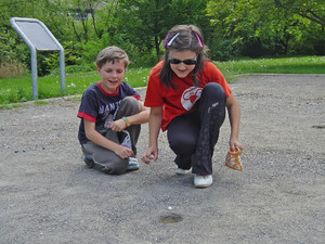 Cvrnkaná na Lužinách