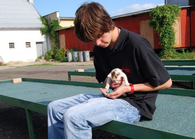 Majstrovstva Slovenska v guličkách